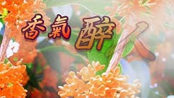Hello 歡迎光臨 感恩緣分讓我們相遇 期待您的訂閱 留言 點贊鼓勵 我是紅葉 我在日本 生活 人生 點點滴滴 酸甜苦辣 不同的體味 瞬間的感悟 想說給您聽 分享 共鳴 陪伴 親愛的 希望與您 快樂相伴一起成長