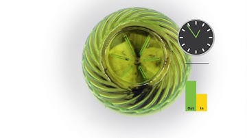 FlyFix Fruit Fly Trap Time Lapse