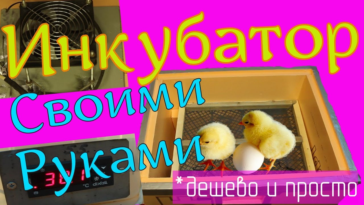Инкубатор своими руками - YouTube