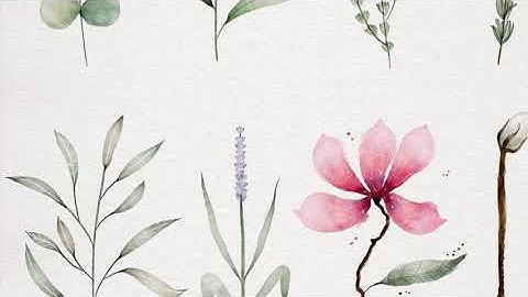 Create Soft Botanical Watercolor Paintings in Procreate