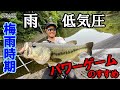 【RAID JAPAN】梅雨時期必見!!雨+低気圧パワーゲームのすすめ!!