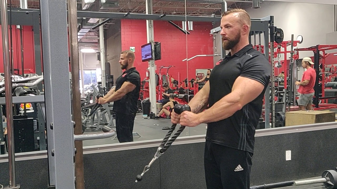 Cable hammer curls YouTube