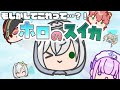 【 #ホロのスイカ 】団長耐久！登録者6万達成しました！！スイカゲーム みたいな ホロライブ のゲーム？！【 Vtuber 猫咲あんじ 】