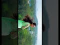 New Trending Reels BGM Video Editing in Alight Motion kannada instagram Trending Reels BGM Video