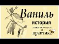 Ваниль - гермафродит с тяжелой судьбой (и вы до сих пор неправильно ею пользуетесь)