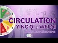 25  ying qi et wei qi  la circulation circadienne  mdecine traditionnelle chinoise