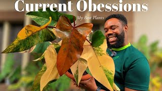 What's Actually Thriving in My House Right Now 🌿 | Current Favorites & Biggest Glow Ups