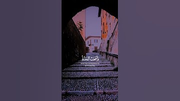 القارئ _ أنس العمادي#قرآن #اكسبلور #المصحف #إستمع