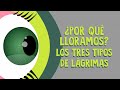 ¿Por Qué Lloramos? Los Tres Tipos De Lágrimas - Alex Gendler