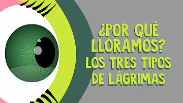 ¿Cuáles son los 3 tipos diferentes de lágrimas?