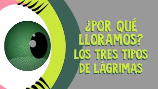 ¿Por qué lloramos? Los tres tipos de lágrimas - Alex Gendler