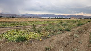 Bahçe Işleri Part 2 Ev Temeli Su Basamağı Yapım Işleri.çe Im