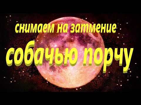 СНИМАЕМ‼️👹 СОБАЧЬЮ ПОРЧУ МОЩНО🔥💯 НА ЗАТМЕНИЕ РИТУАЛ ОНЛАЙН