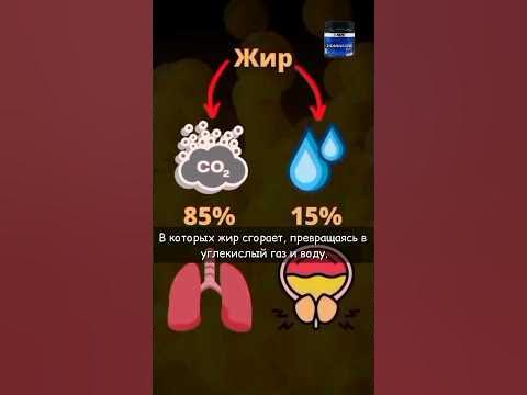 Л-КАРНИТИН - YouTube