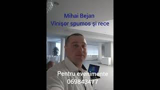 Mihai Bejan - Vinişor spumos şi rece