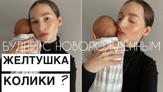 3 недели новорождённому | КРАШУСЬ И БОЛТАЮ | желтушка | колики | VLOG