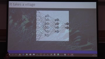 Introduction to Biological and Artificial Intelligence (Harvard Neuro 140 Class by Gabriel Kreiman)