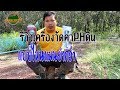 รีวิวเครื่องวัดค่า PH ดิน #ระหว่างสองแบบอันไหนแม่นยำกว่ามาดูกันSARAGASET