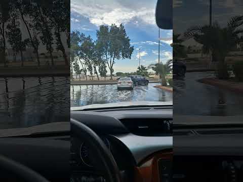 ود دوبا سافرتا شان اجمع لي مال