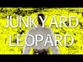 Junkyard Leopard