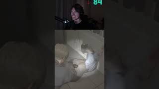 How Did Bro End Up Like That?