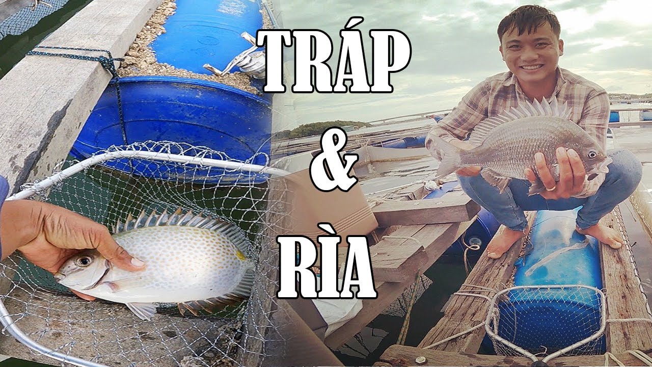 Câu cá ..tráp .cá rìa ..thật đơn giản bằng cần ikada ai câu cũng đươc ...