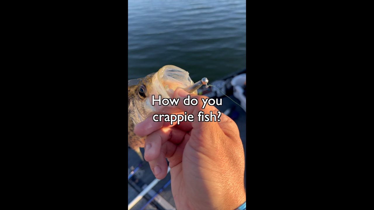 Classic vs. Modern Crappie Fishing Techniques – Which Do You Prefer?