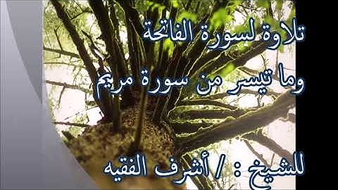 تلاوة لسورة الفاتحة وما تيسر من سورة مريم