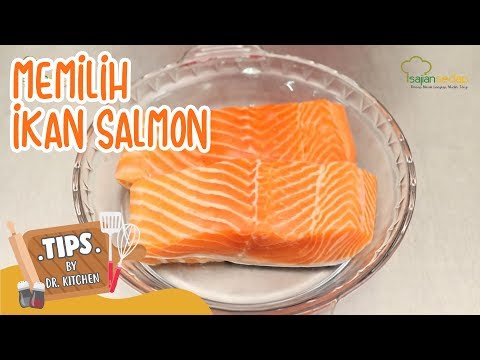 Video: Cara Memilih Salmon