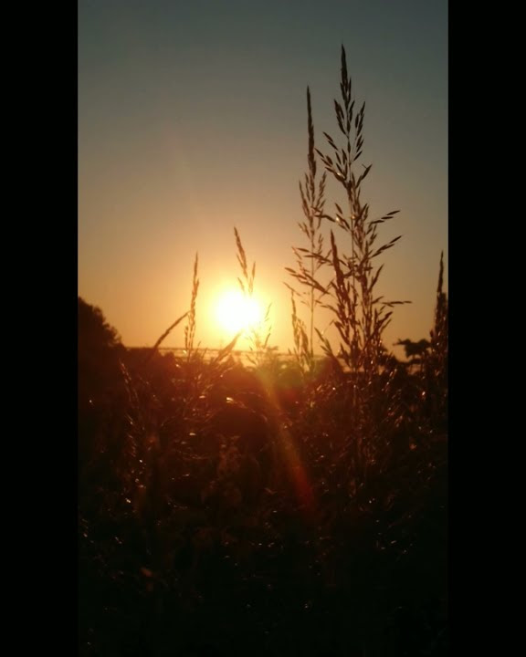 shorts-you-are-my-sunset-youtube