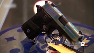 Michigan GOP proposes ‘constitutional carry’ to end concealed pistol license mandate