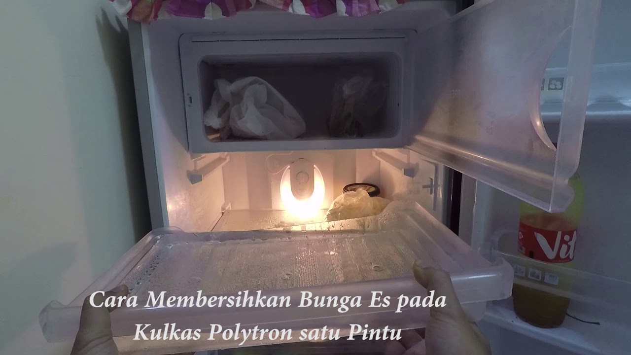 Cara Membersihkan Bunga Es Di Kulkas Polytron Satu Pintu Youtube