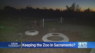 Renewed Effort Underway To Keep The Sacramento Zoo In Sacramento