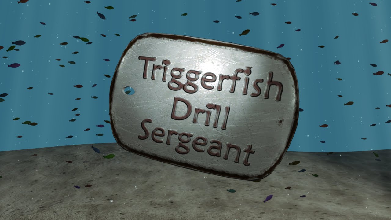 Triggerfish Drill Sergeant Meet The Troops Trailer