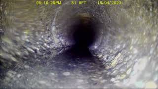 04/18/2023. Park Ave S. Tacoma, WA