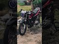 ninja ss merah zebra😍 #2stroke #ninjass #ninja2tak #ninja #shortvideo #shorts #fyp #fypシ