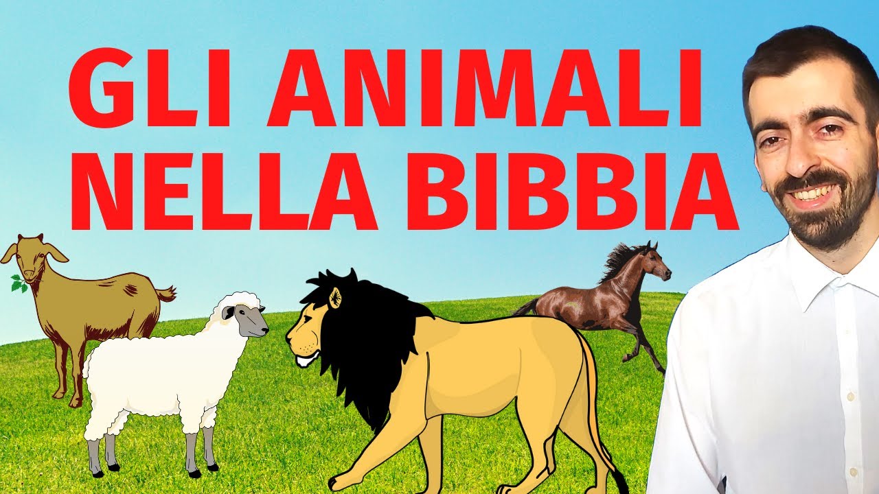 Gli animali della Bibbia - YouTube