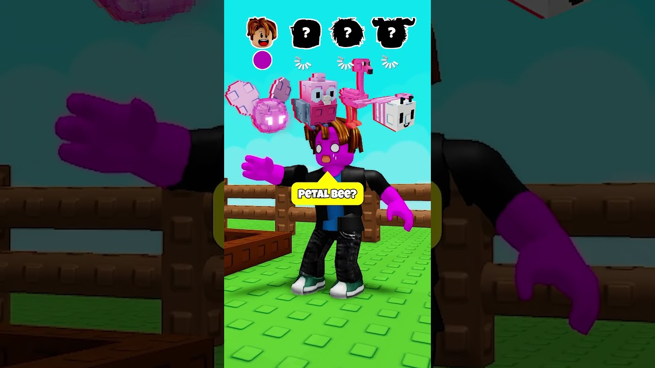 Raccoon Pet X Admin Item in Grow a Garden 2 🐐🟡 #shorts