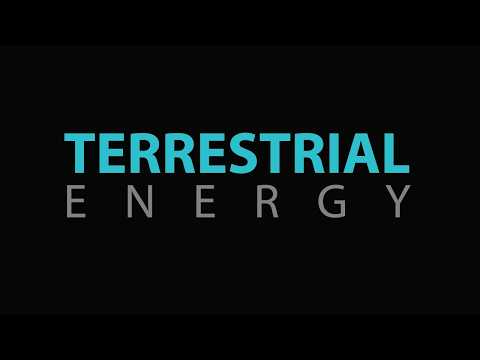 Terrestrial Energy (IMSR): ☢️ The "Printer Ink" Model for Nuclear Power