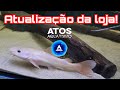 Loja Atos Aquarismo - Peixes raros como Jejum,  Bandeira Zebra Azul entre outros!