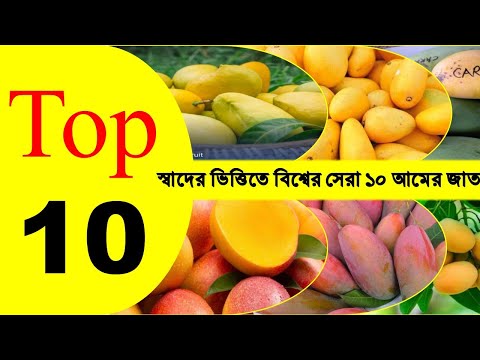 ভিডিও: কোন আম সবচেয়ে ভালো?