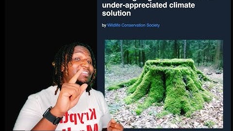 Reviving Our Earth: The Unsung Hero of Climate Action - Restoring Degraded Forests!