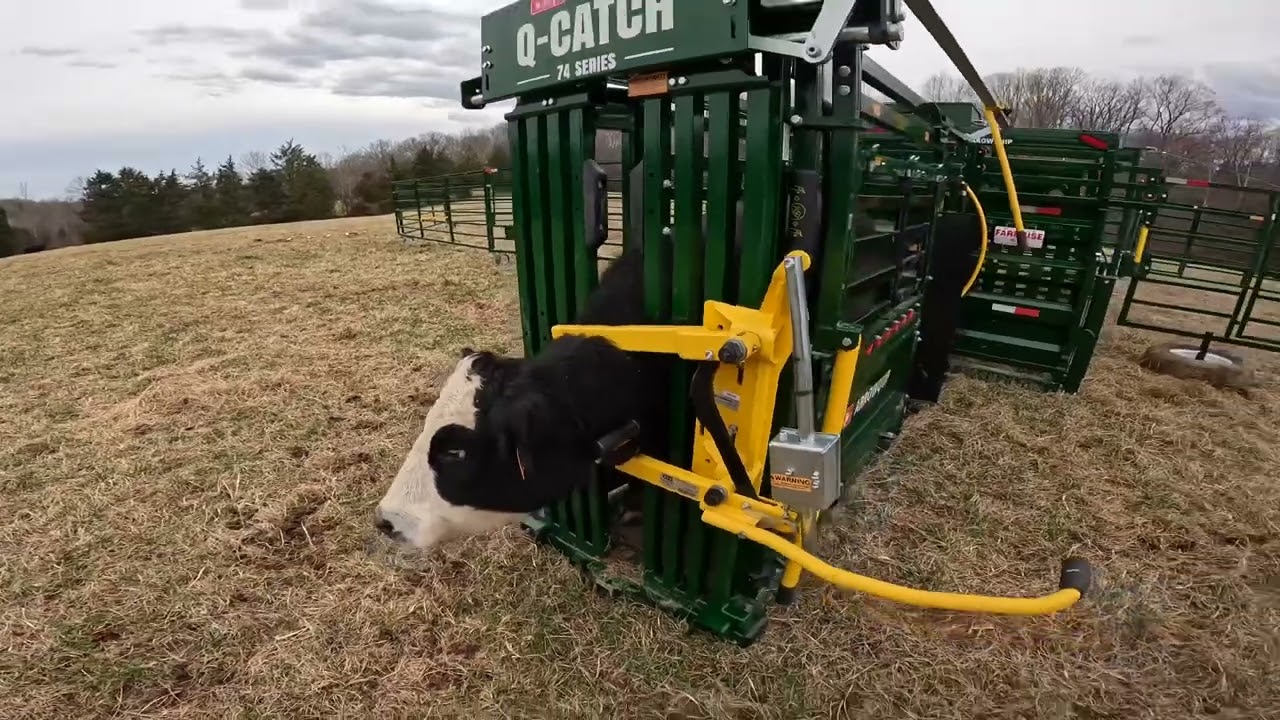 Why We Chose An Arrowquip Model 74 Deluxe and Heeler. 