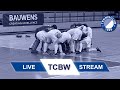 HCR Vs TUSLI 1 Bundesliga Herren Halle 25 26 07 12 2025 11 00 Uhr