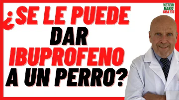 ¿Puedo darle ibuprofeno a mi perro?