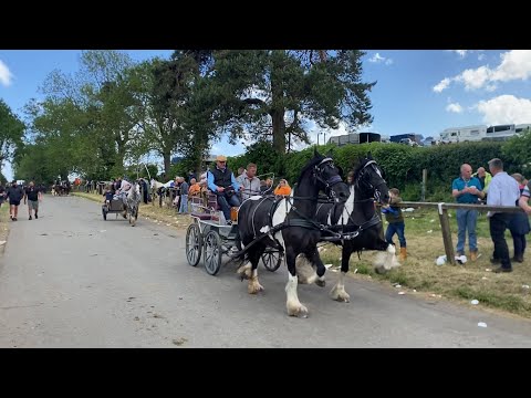 Видео: Appleby морины үзэсгэлэн хаана байдаг вэ?