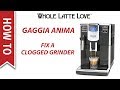 How To Clear a Clogged Grinder on Gaggia Anima Espresso Machines