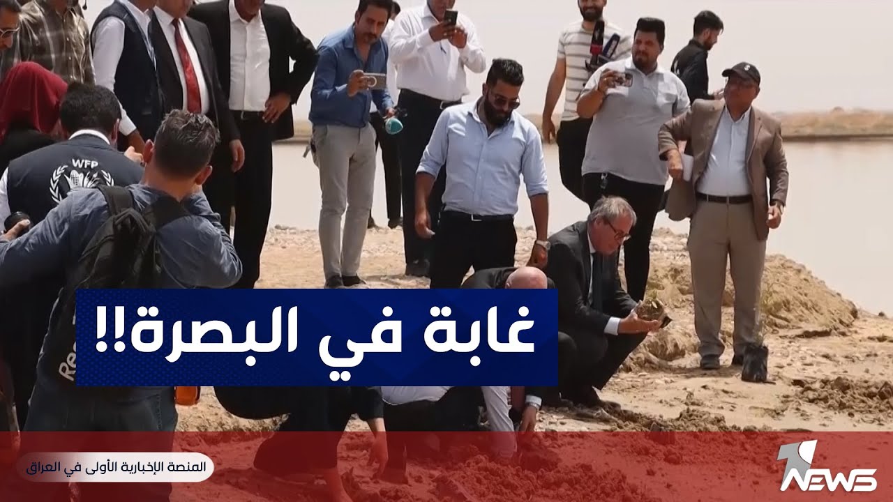 بلاسخارت والعيداني يزرعان المانغروف.. آخر آمال البصرة لمواجهة الجفاف والتلوث | تقرير: أثير العبادي