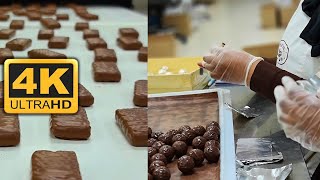 كيفية صناعة الشوكولاتة / How Chocolate is Made - 4K