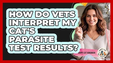 How Do Vets Interpret My Cat
